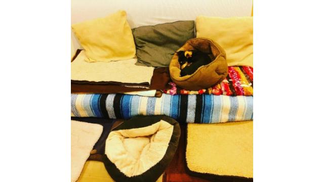 心は静寂に調律をして