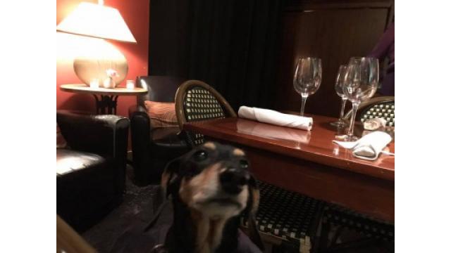 ぴの耳より出遅れました情報(3/12) セトリ通信・広島編 and...