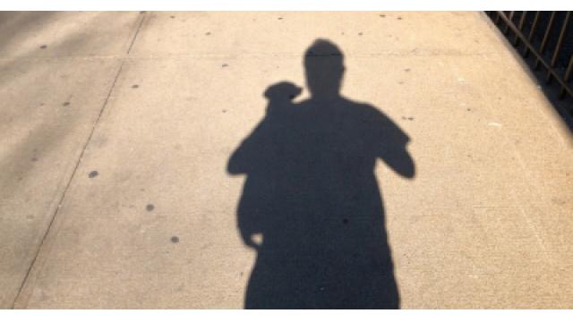 セトリ通信　 未来のコンサートへ