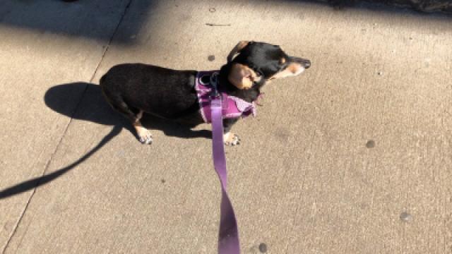 ぴの耳より情報(3/19) セトリ通信、未来へ