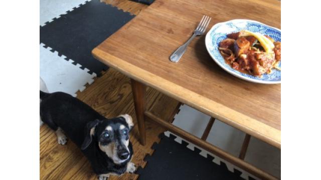 ぴの耳より情報(4/11) 今日のおこもりごはんはスパゲッティ