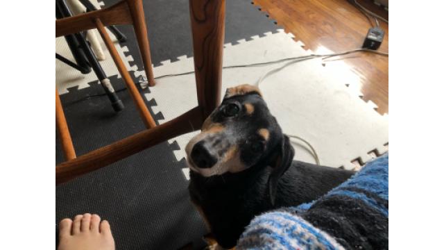 ぴの耳より情報(4/23)