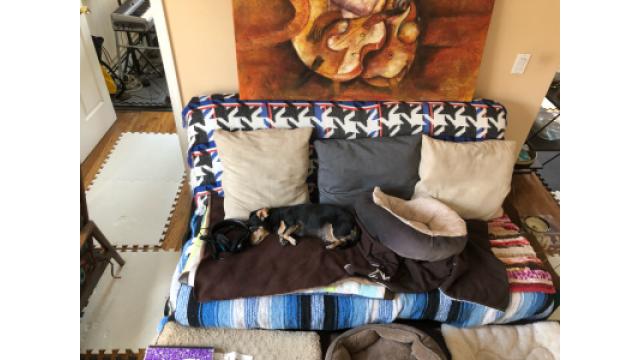 #TogatherAtHomeのライブ(あたしも出演している)がYahoo!の記事で紹介されていました!