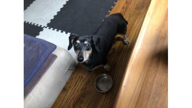 ぴの耳より情報 (4/30) 本日は第5週の木曜日。