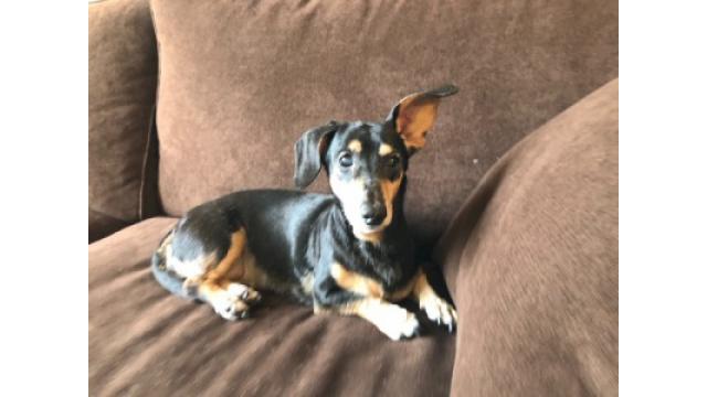 chris cuomo on instagram