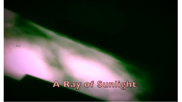 "A Ray of Sunlight"