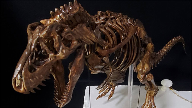 スケールモデル祭り2022エントリー作品紹介 エントリー№136【スケモ祭】