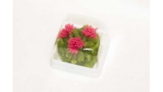 放送終了後の杉谷さん。