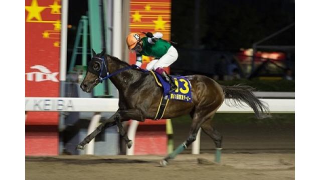 ニコニコ競馬　今週の見どころ