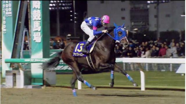 ニコニコ競馬　今週の見どころ