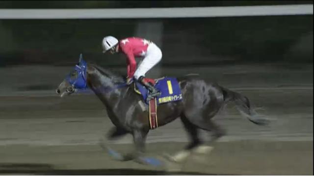 門別競馬場にてヒダカソウカップ開催！