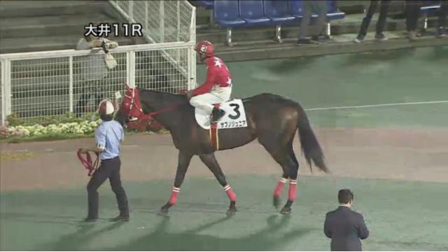 ニコニコ競馬　今週は帝王賞が開催されます