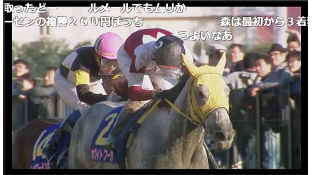 ニコニコ競馬　今週は星雲賞が開催されます