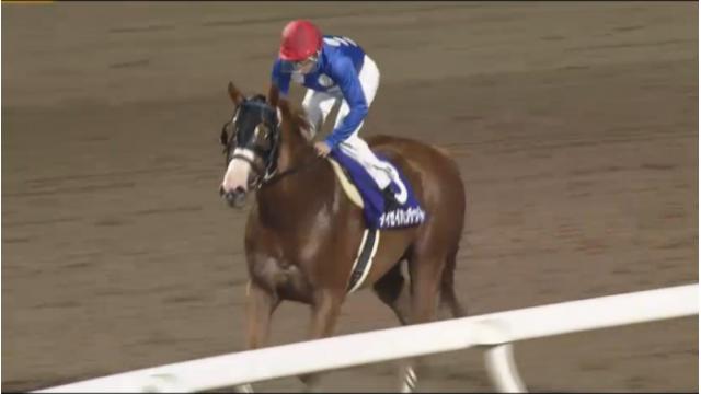 ニコニコ競馬　今週は王冠賞が開催されます