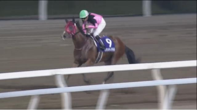 ニコニコ競馬　今週の見どころ