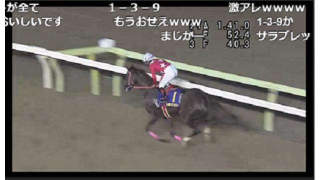 ニコニコ競馬　今週はアフター5スター賞