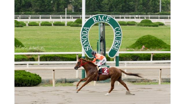 ニコニコ競馬 園田競馬のレース生放送開始