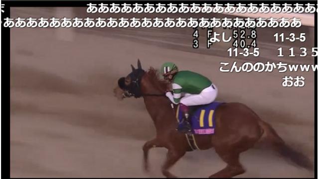 ニコニコ競馬　今週はユングフラウ賞