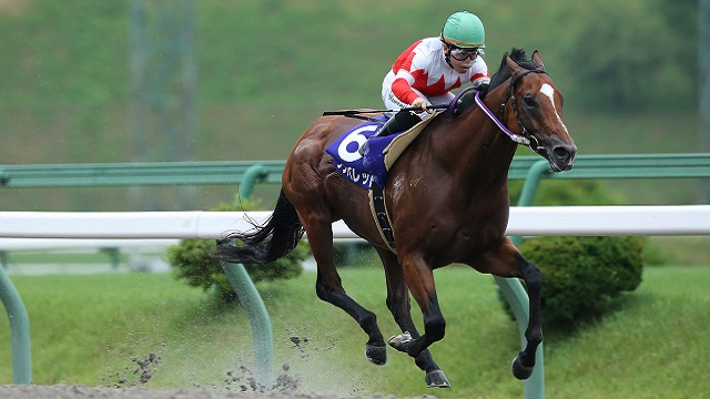 ニコニコ競馬　岩手競馬の生放送開始