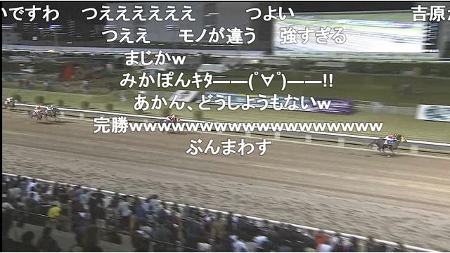 ニコニコ競馬　今週は全日本2歳優駿