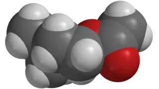 【第2回】事前学習用動画を公開しました