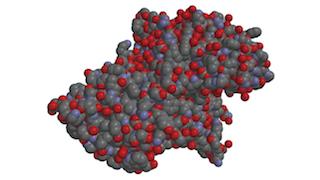 【第3回】事前学習用動画を公開しました