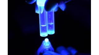 科学イノベーション挑戦講座第5回「遺伝子について考えよう」を実施しました