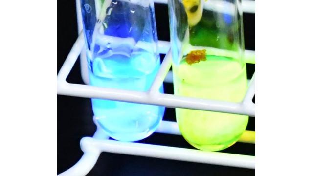 第8回「光を放つ化学反応の原理を解明しよう」を実施しました