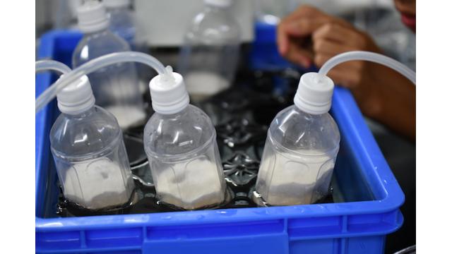 【ジュニアドクター育成塾】第2テーマ「食品の安全を守る科学技術」実験データ【愛媛大学】