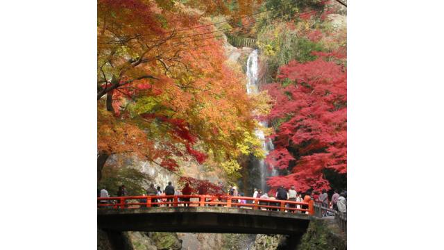 【大人の隠れ家】大阪・箕面の山中で紅葉を楽しめるおすすめ隠れ家カフェ「ゆずりは」を紹介！