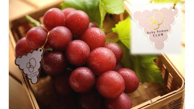 新・贅沢図鑑 『最高級フルーツ』編