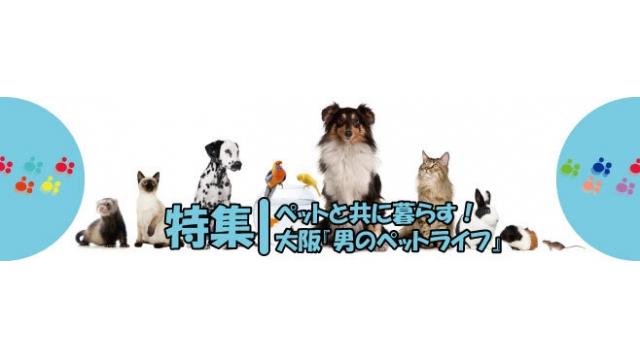 ペットと共に暮らす！大阪『男のペットライフ』特集