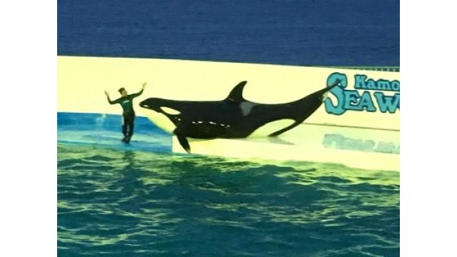 千葉が誇るスペシャル水族館！！鴨川シーワールドに行ってきたよ！！