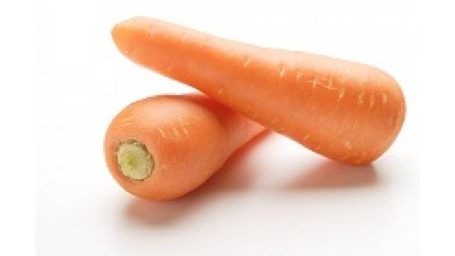 野菜帝国通信　vol.1　～神殿花鳥イベントお疲れ様でした感想付き～