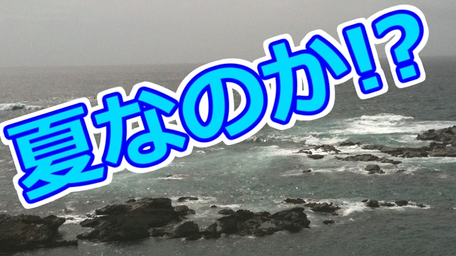 夏だ！水着だ！でも半裸じゃないぞ！