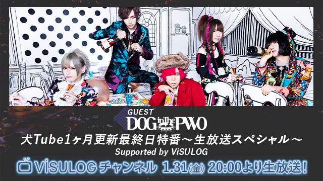 1月31日(金)20時より『DOG inTheパラレルワールドオーケストラ犬Tube1ヶ月更新最終日特番‼︎〜生放送スペシャル〜Supported by ViSULOG』の放送決定！