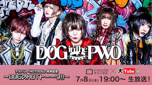 7月8日(水)19時より、DOG inThePWOオフィシャルYouTube『犬Tube』＆『ViSULOGチャンネル』コラボ放送！『アルバムHOTDOG完成記念～DOGのHOTトーーク!!～』の放送決定！