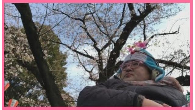 野田草履のお花見オフ会2018