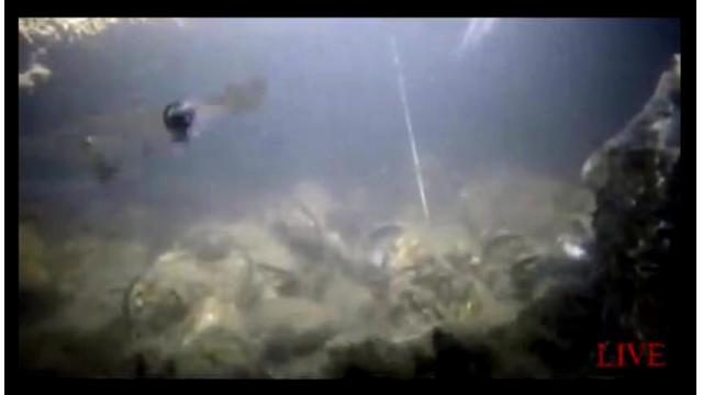 【会員限定】生放送の保存場所#003（放送日20160930）最新版に全URLを掲載しますので、会員様は過去記事を購入する必要はありません。