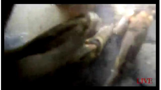 【会員限定】生放送の保存場所#004（放送日20161001 秋スペ初日）