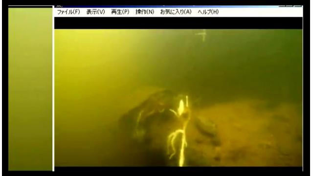 【会員限定】生放送の保存場所#006（放送日20161003）淡水でカメが釣れました