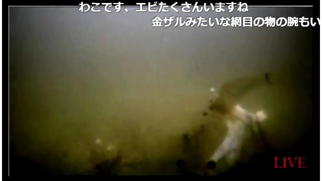 【会員限定】生放送の保存場所#008（放送日20161006）ナマズは残念。エビだらけ