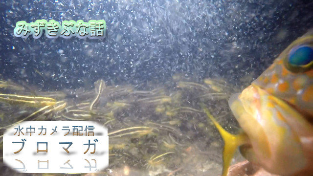 全天球カメラの実験と正月準備の回【12/12】