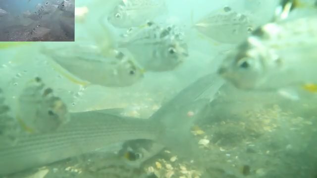 浜名湖遠征の回【1/16】