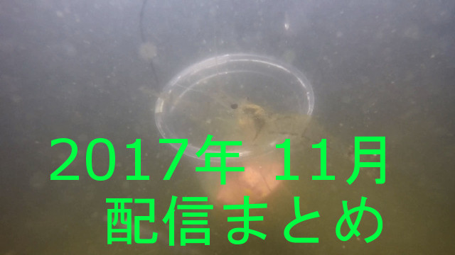 2017年11月の配信ログ