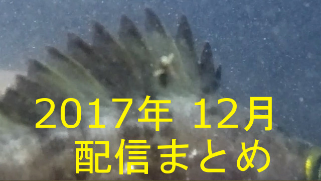 2017年12月の配信ログ