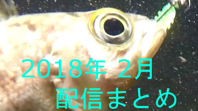 201８年2月の配信ログ（寄生虫画像あり。閲覧注意）
