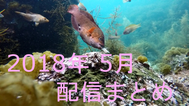 201８年5月の配信ログ
