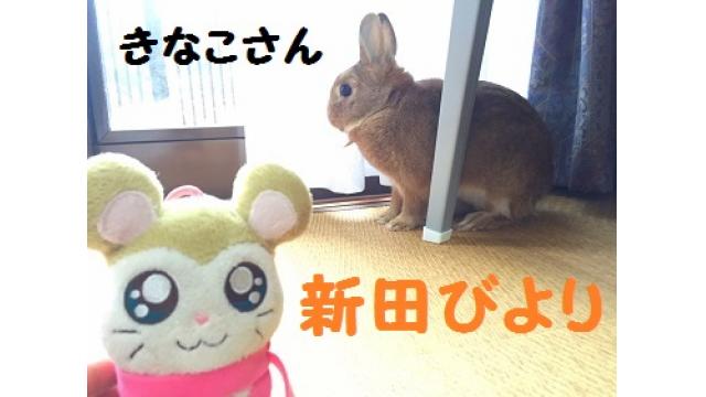 あいぼうは、きなこですか？#01