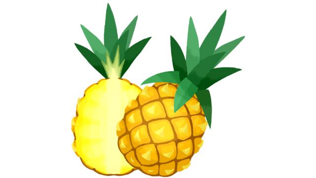 4/17(火)19:00～生放送！【料理枠】パイナップルカレーを本格的にスパイスから作る【第36辛:20180417】